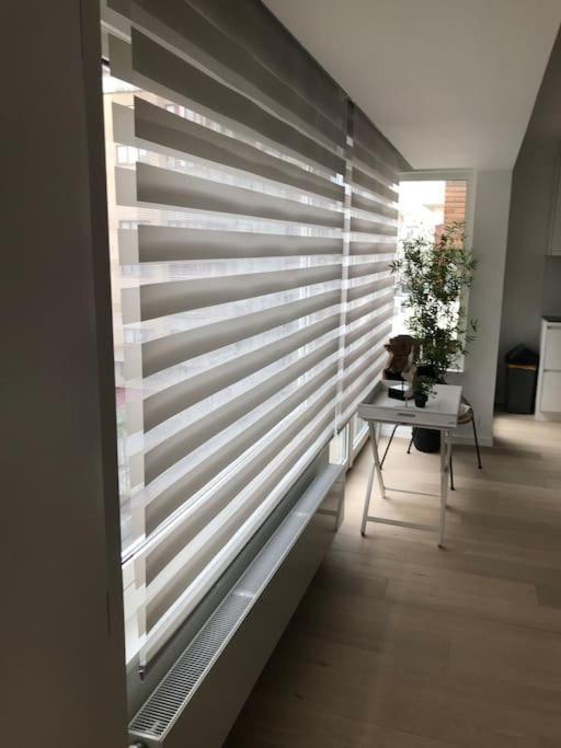 Casita Ostend City & Beach 외부 사진